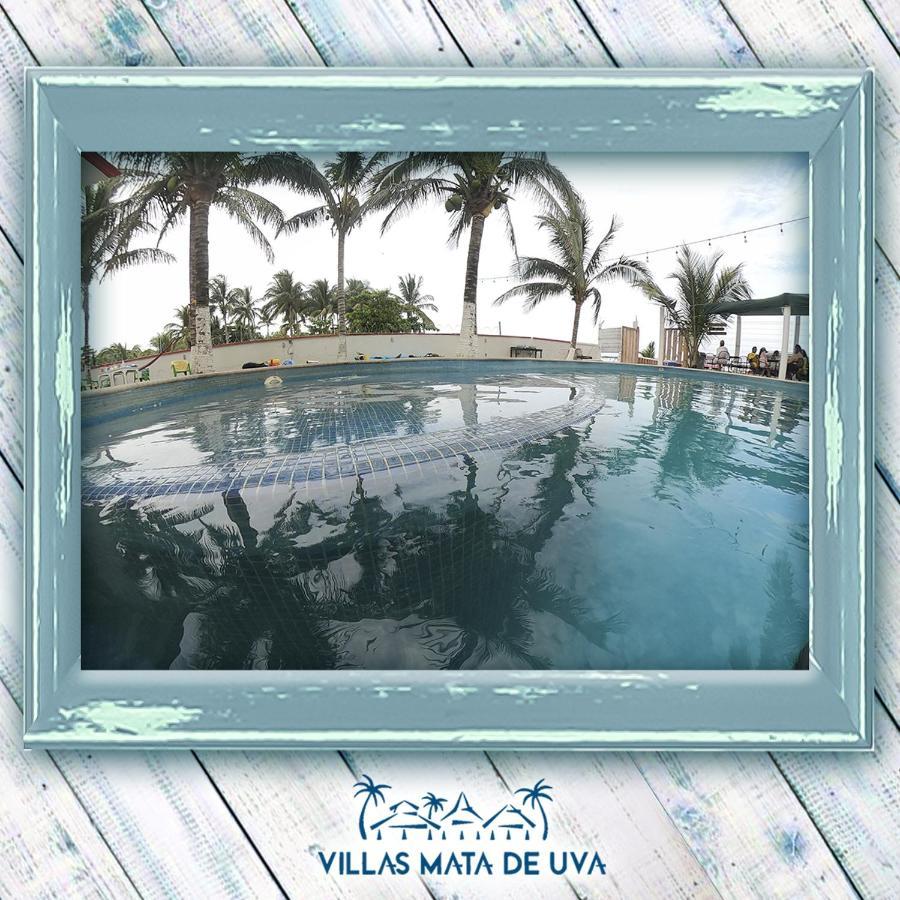 Villas Mata De Uva Heroica Heroica Alvarado Eksteriør billede